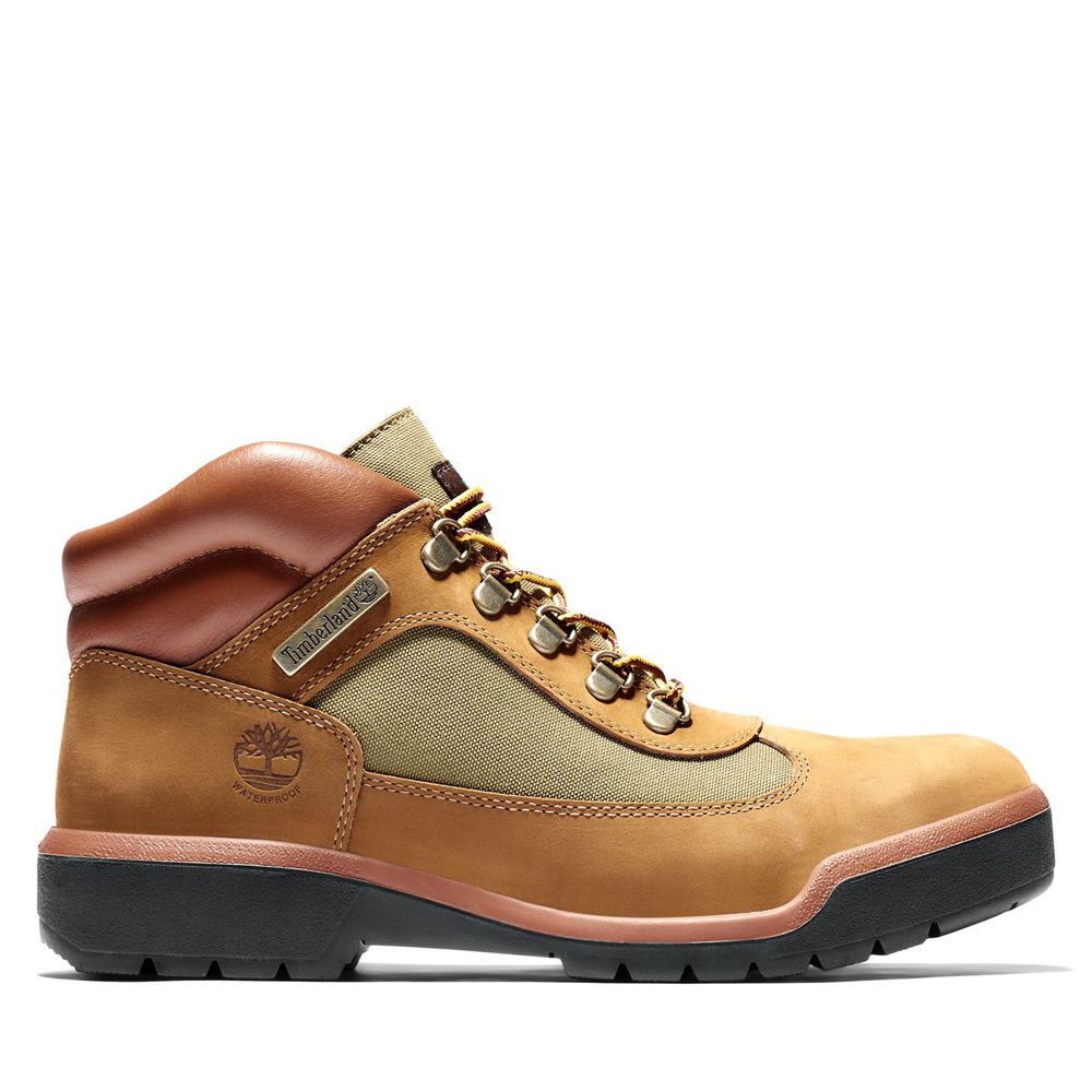 Zapatillas Timberland Argentina Hombre - Waterproof Field Boots - Marrones - KYLGAW-761